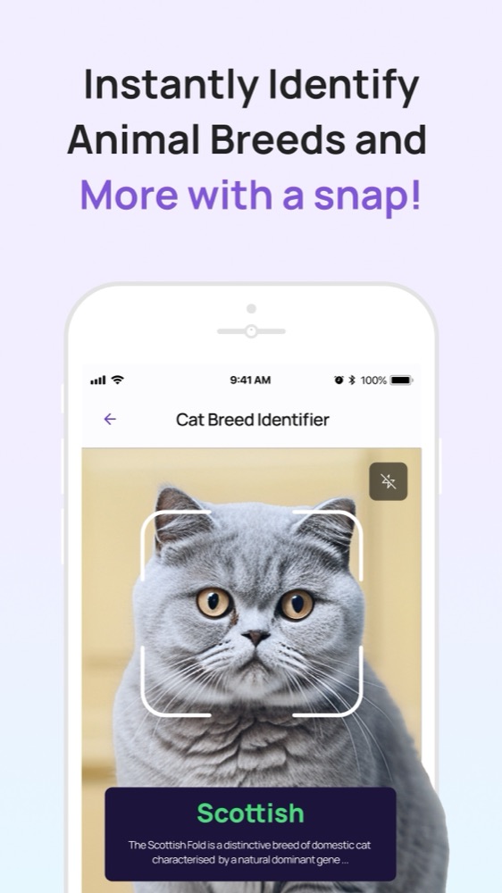 6sense-ai screenshot 1